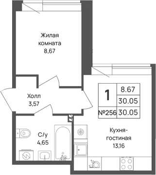 Планировка: 1 комната · 30,05 м²